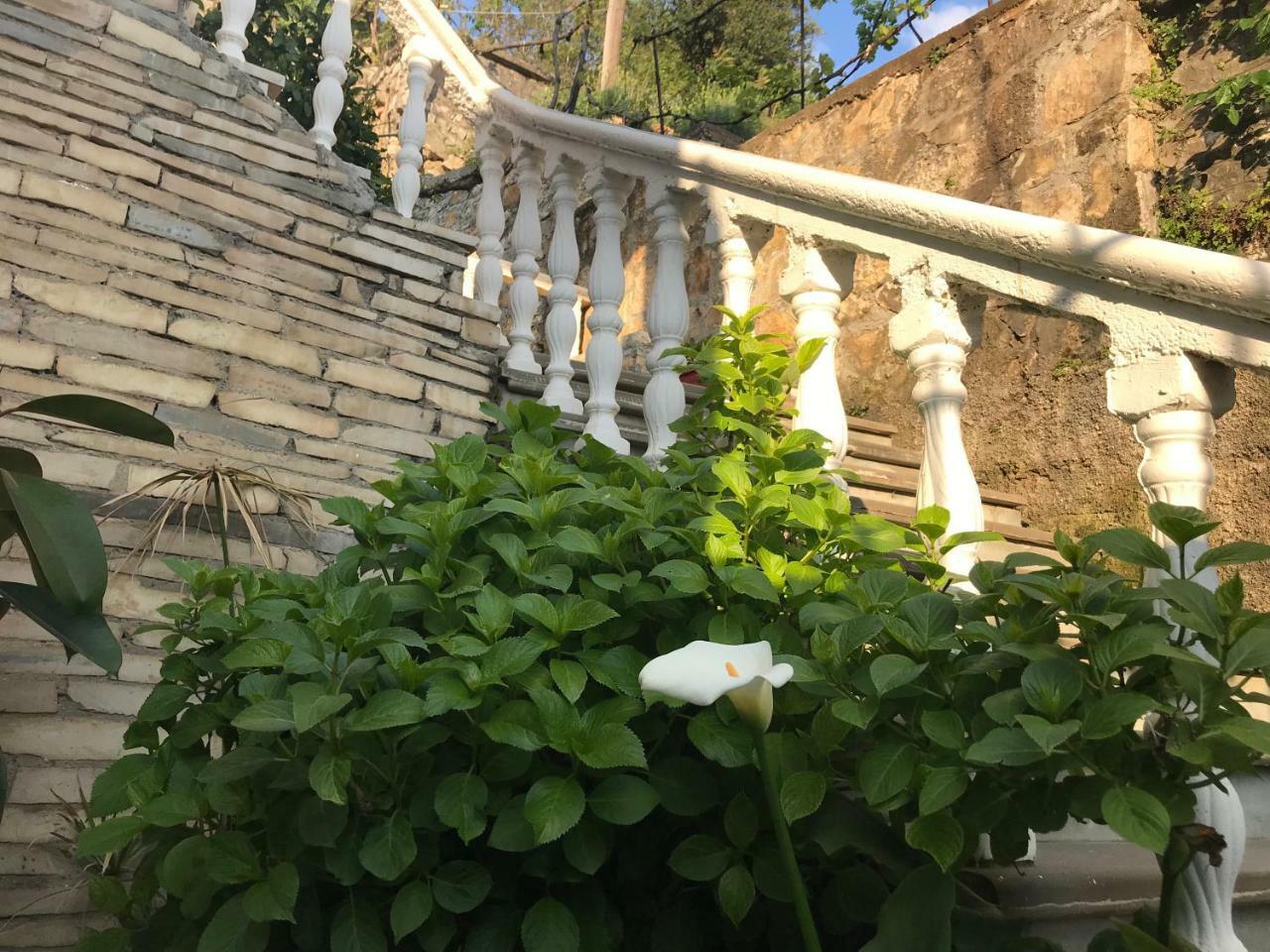 Guest House Himaj Berat Buitenkant foto